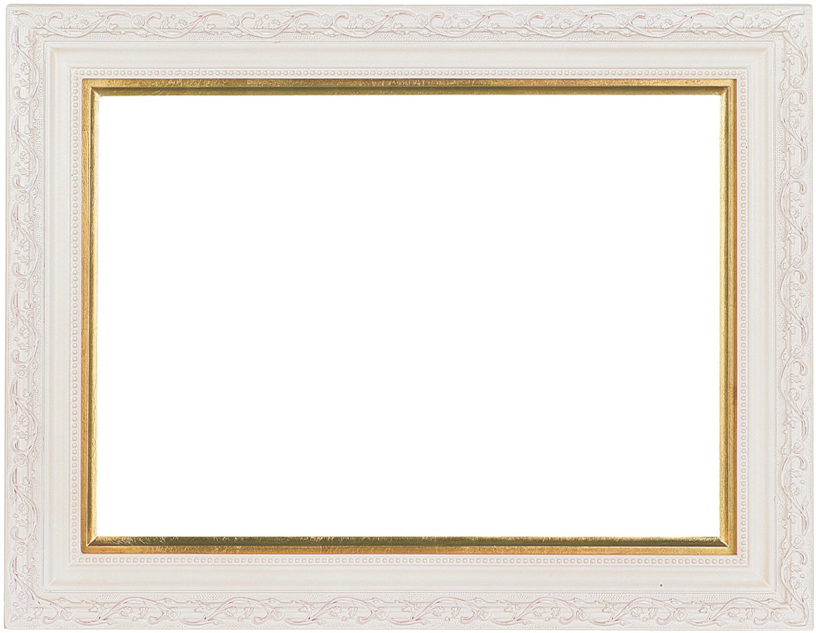 ラーソン・ジュール・ニッポン 額縁 A601 白 F4 アクリル A601123