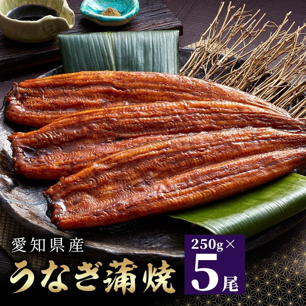 愛知県産うなぎ蒲焼 約250g×5尾入 タレ・山椒付鰻 うなぎ 魚 蒲焼き