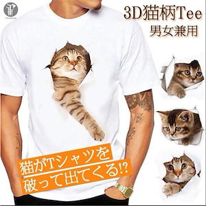 Tシャツ イラスト メンズ 3D 猫 茶トラ 可愛い 半袖 男女兼用 薄手 ねこ 白 レディース 面白 おもしろ トリックアート
