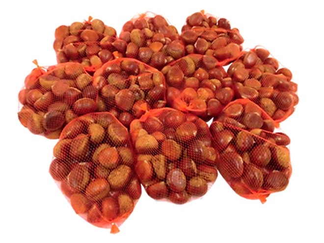 =茨城の和栗= 秀品 大粒2L-3Lサイズ 約9-10kg 予約 9月下旬以降