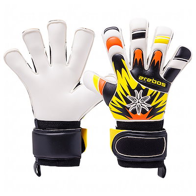 美品 ] Gray Force アルペンスノーボード 23-24 167cm 【公式通販】