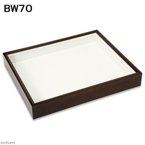 バードウィング製　ドイツ型標本箱　ＢＷ７０　（幅５０．７X奥行き４１．８X高さ７ｃｍ）　昆虫　蝶　甲虫　標本ケース　ＣＲＣ18―82―30―00―00
