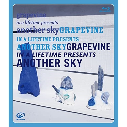 GRAPEVINE ／ in a lifetime presents another sky(通常盤)(.. (Blu-ray) VIZL-2136
