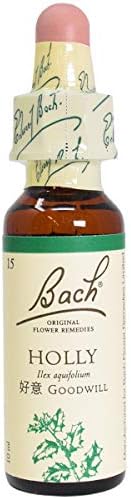 バッチフラワーレメディ ホリー