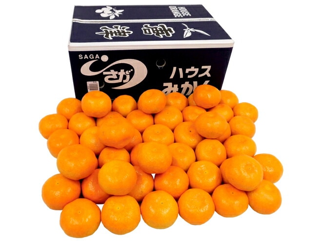 佐賀産 JAからつ =ハウスみかん= S/Mサイズ 約5kg 温室みかん 予約 6月以降