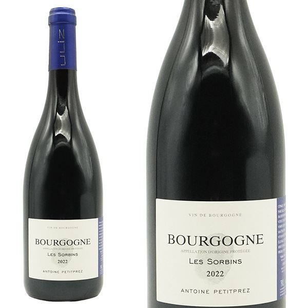 ブルゴーニュ ルージュ レ ソルバン 2022 アントワーヌ プティプレ元詰 AOCブルゴーニュ ピノ ノワール 自然派 ビオディナミBourgogne Rouge Les Sorbins 2 7,858円