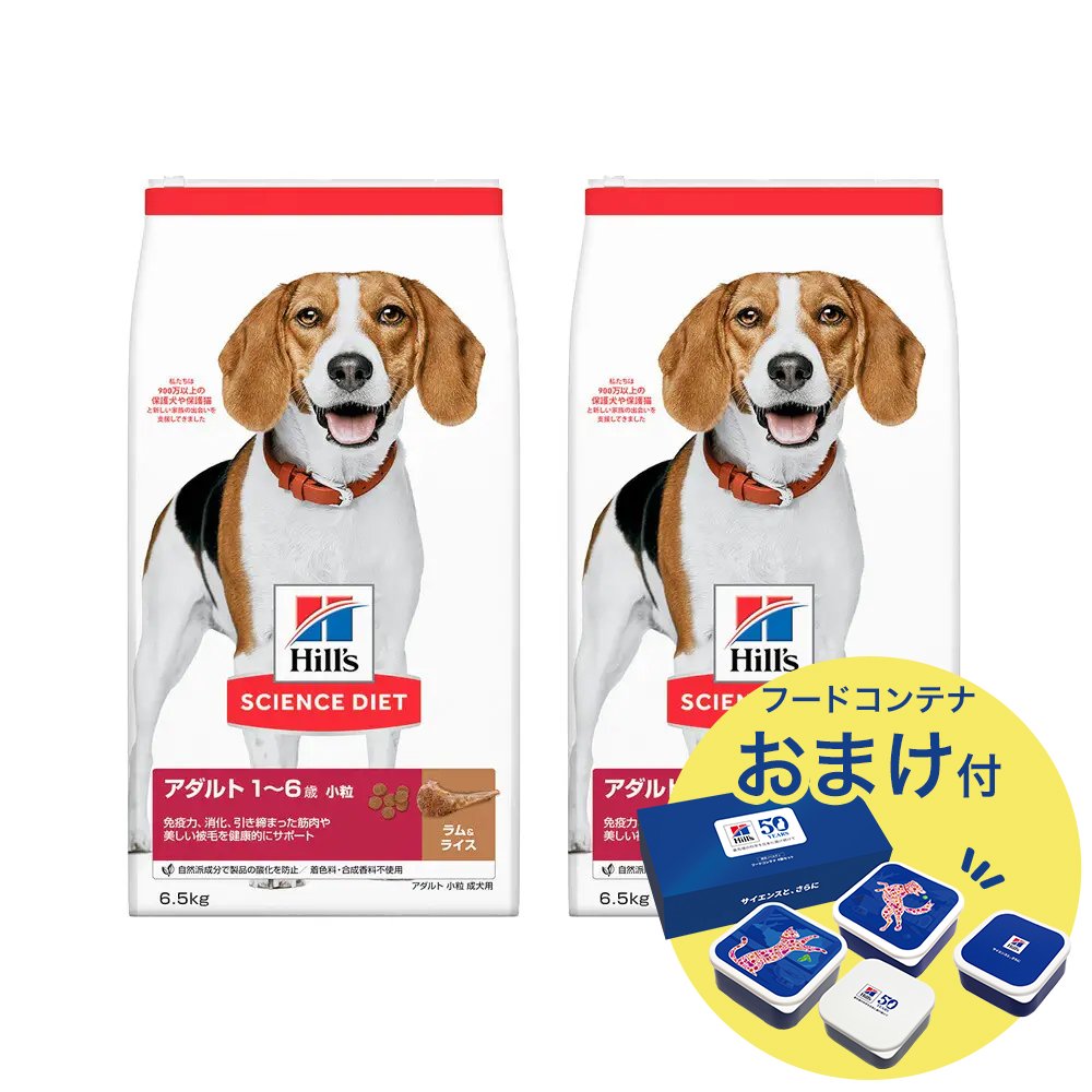 ドッグフード　サイエンスダイエット　アダルト　１歳ー６歳　ラム＆ライス　小粒　成犬用　６．５ｋｇX２　おまけ付　お一人様１点限り　ＣＲＣ45―05―19―10―20