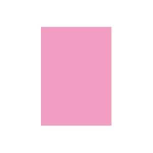 (業務用10セット)大王製紙 再生色画用紙/工作用紙 (四つ切り 10枚) フラミンゴ