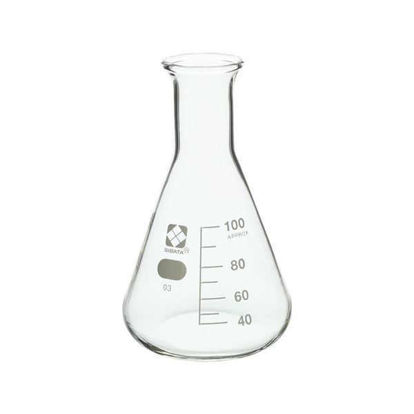 三角フラスコ 目安目盛付 100mL 10入 [010530-100A]