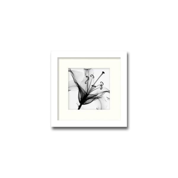 ファブリックパネル アートフレーム 飾り おしゃれ 優雅 壁掛け ウォールデコレーション 幻想的 植物 レントゲン LilyMuscadet 350x350mm