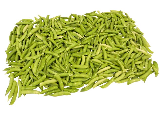 紀州/和歌山 =うすいえんどう= 秀品 約5kg バラ詰め 予約 3月中下旬以降