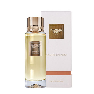 渚カヲル フィギュア クリア レジンキット エヴァ ワンフェス 海洋堂