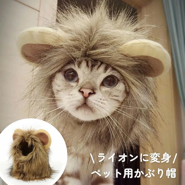 Qoo10] ライオン 猫 かぶりもの 犬 猫用帽子 犬用帽子