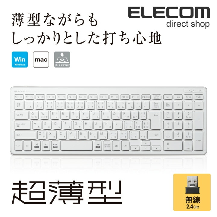 ワイヤレスキーボード 無線 パンタグラフ 薄型 コンパクト PS5 ホワイト TK-FDP099TWH