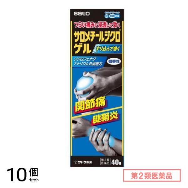 第２類医薬品 サロメチールジクロゲル 40g 10個セット