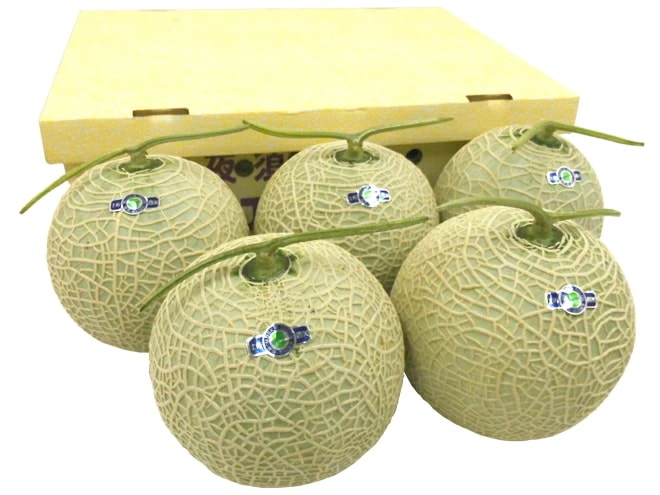 高知県夜須 =エメラルドメロン= ちょっと訳あり 5-6玉入り 約9-10kg 予約 入荷次第発送