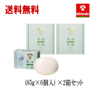 送料無料 2個セット 薬師堂 ソンバーユ 馬油石鹸 （85g×6個入り×1箱）ヒノキの香り ×2箱セット 尊馬油 ソンバーユ 石鹸 ボディケア ソープ