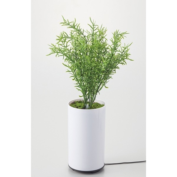 グリーンディフューザー B 観葉植物型アロマ噴霧器 アロマディフューザー I-70091 加湿