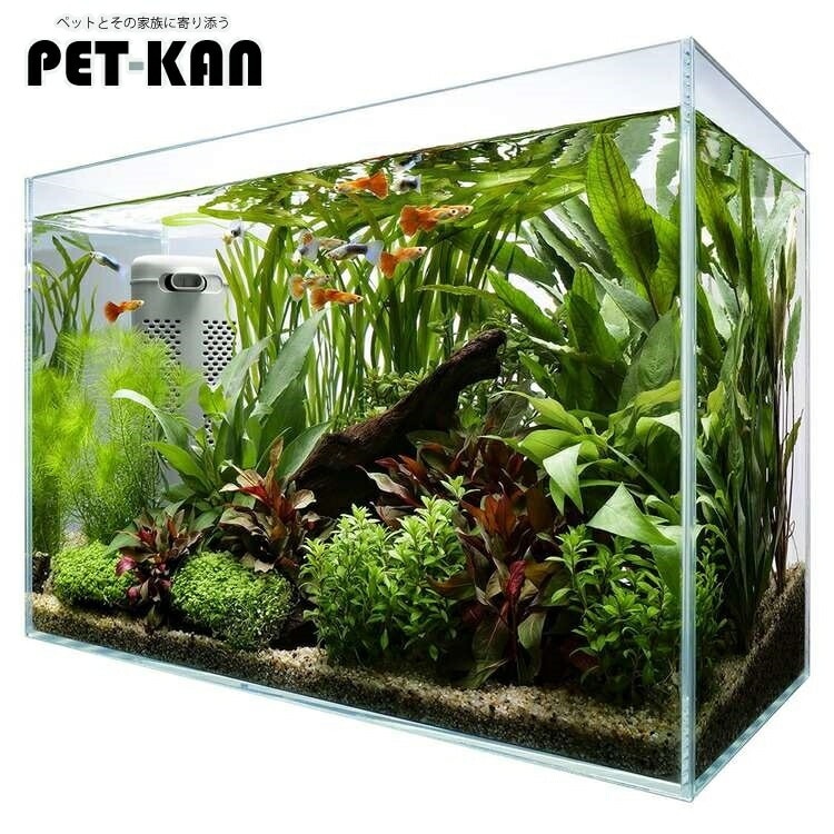 テトラ サイレントフレックスセット 45 アクアリウム 水槽 熱帯魚 メダカ めだか 金魚 きんぎょ 海水魚 観賞魚 水中フィルター 【D】【B】