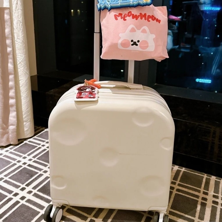 小型スーツケース 18インチ 小型 2025 男女兼用 20インチ トロリー 旅行 パスワードボックス