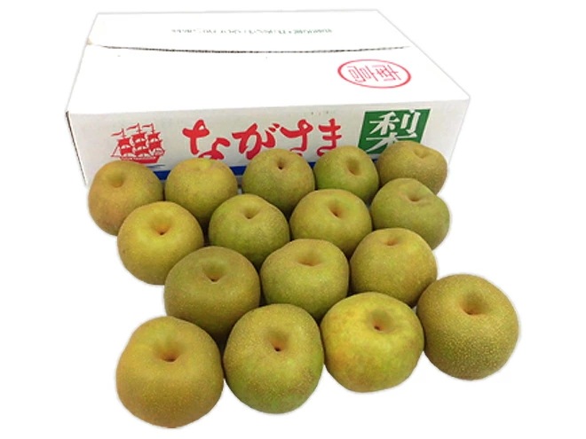 =夏の幸水梨= 秀品 大玉12-16玉 約5kg 産地厳選 予約 7月以降