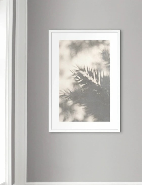 NOUROM DUBAI OLD PALM LEAVES SHADOW, UAE2020 1
