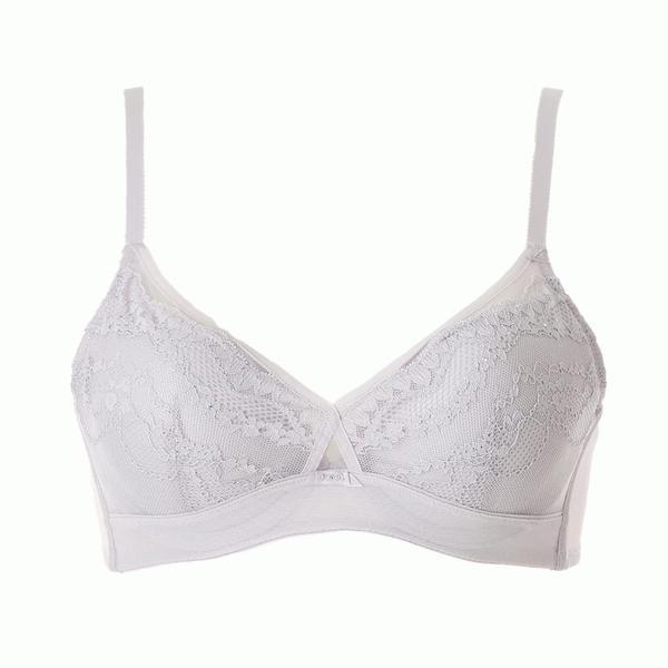 プラスブラEカップFカップブラVBR9005EFGVASG