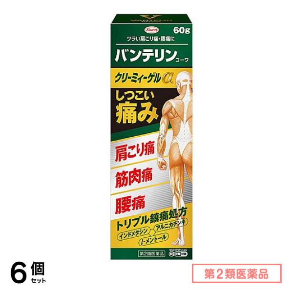 第２類医薬品 コーワクリーミィーゲルα 60g 6個セット