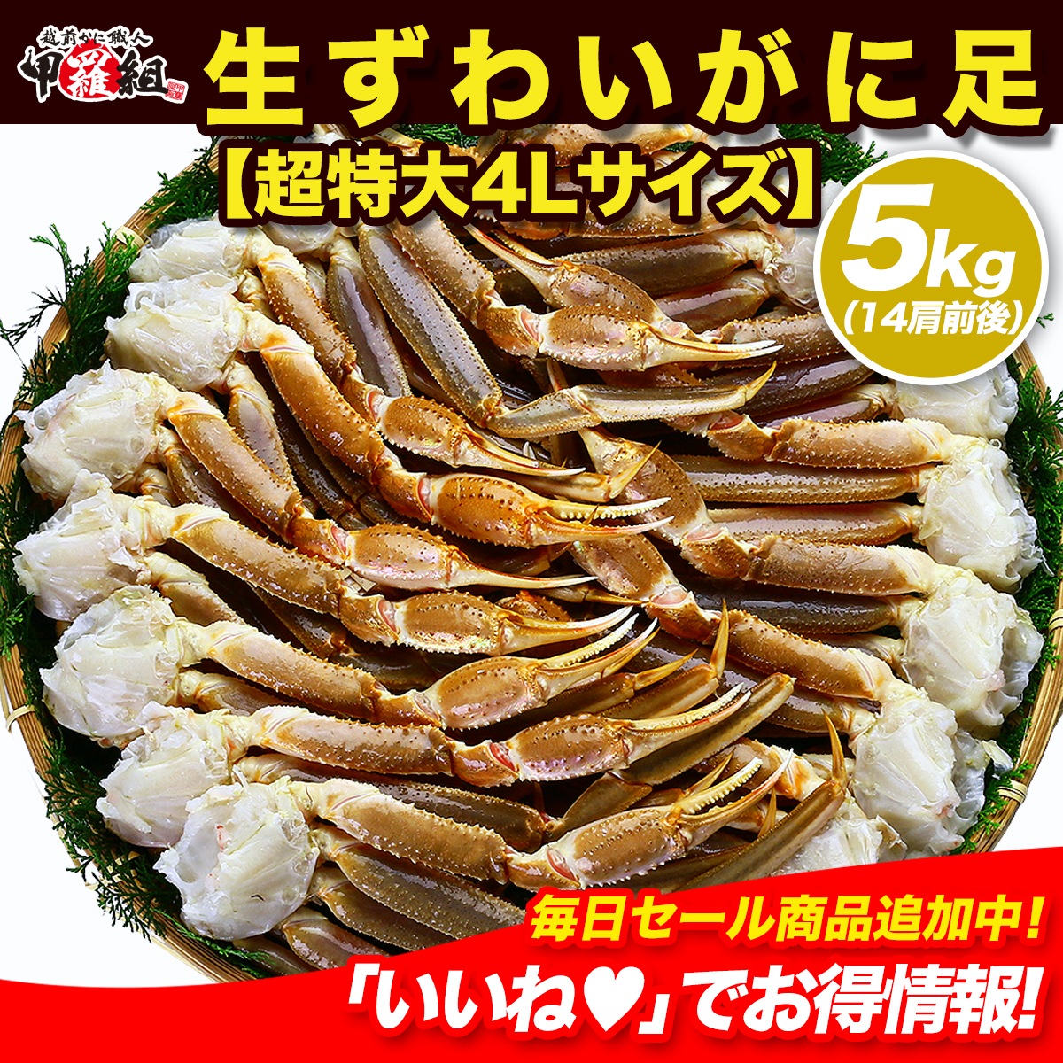 【業務用/産地箱】ロシア（マガダン）産船内凍結の一級品！超特大生ずわいがに足5kg（4Lサイズ/約14肩入り）