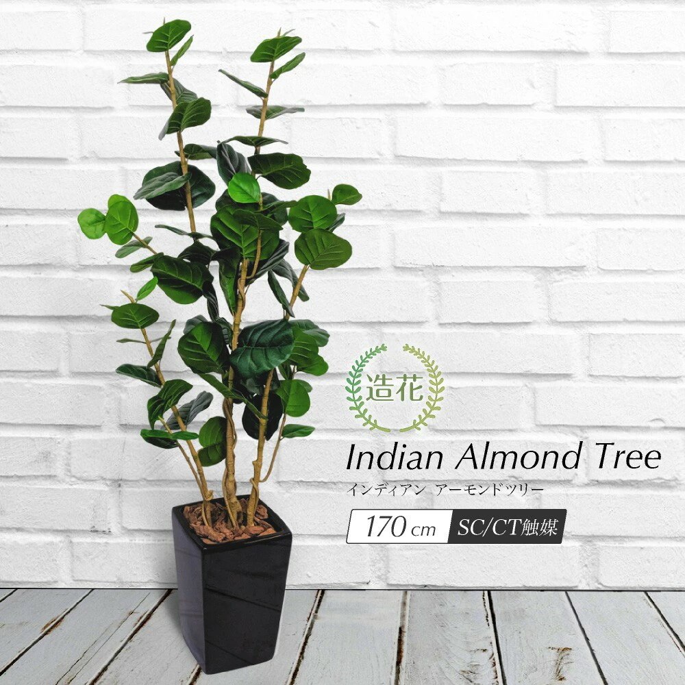 フェイクグリーン ナッツの木 インディアンアーモンドツリー 170cm 鉢植 CT触媒