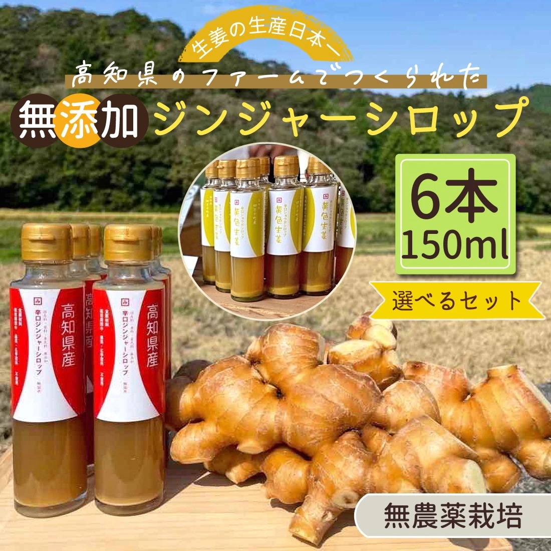 国産 生姜シロップ 自然栽培 6本セット 無添加 辛口 ジンジャーシロップ 150ml×6 四万十きらり 薬品不使用 生姜 高知産 しょうが 生姜湯 温活 生姜 ジンジャーエール ヤマト発送