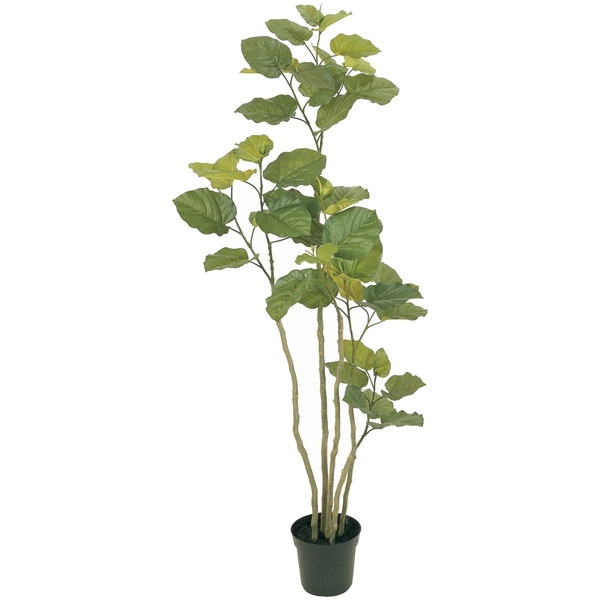 FG005227　造花　ウンベラータ　６Ｆ メーカー直送