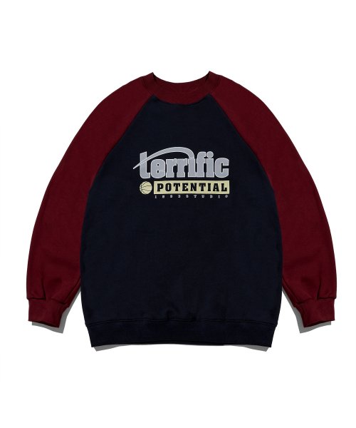 POTENTIAL RAGLAN SWEATSHIRT 韓国正規品