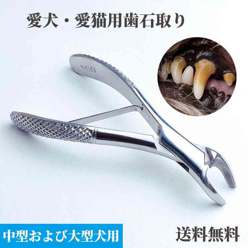 愛犬愛猫用 歯石取り ペンチ 犬 歯石 デンタルケア ホームケア 猫 プロも愛用