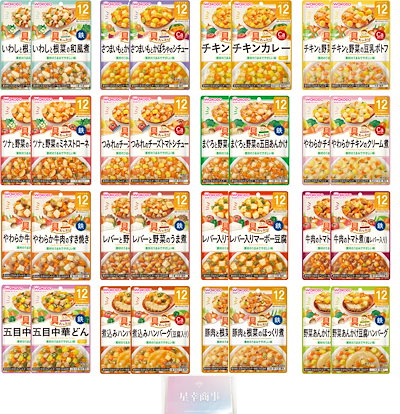 ファイブスター物語('89角川書店)初回出荷　特典 ファイブスター物語(´89角川書店)初回出荷 特典