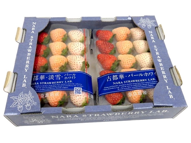 奈良県産 =三色いちごセット= 2pc 古都華/淡雪/パールホワイト 予約 12月-1月以降