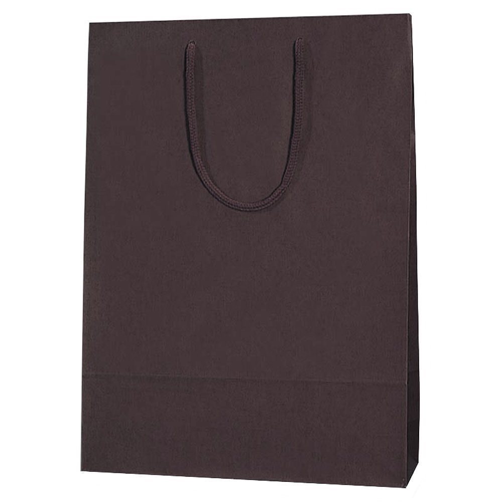 （まとめ買い）ヘイコー 紙袋 手提げ袋 カラーチャームバッグ 2才 33x10x45cm ブラウン 10枚 5310115 [x3]