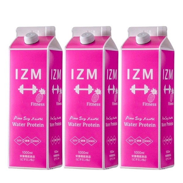 パインソイテイスト　３本　正規品　酵素ドリンク　パイン　 ウォータープロテイン 栄養機能食品（ビタミンB6）