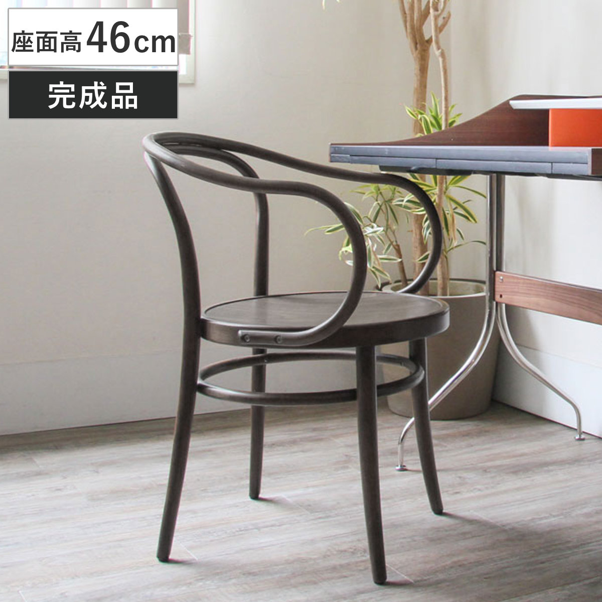 ダイニングチェア 座面高46cm 曲木チェア ルネ 食卓椅子 チェア ダイニング イス 椅子 木製 天然木 曲木 チェアー 完成品 食卓 リビング おしゃれ ダイニングチェアー リビングチェア