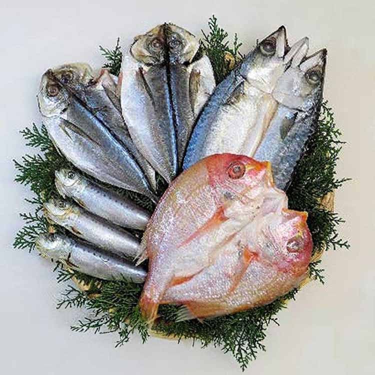 【目玉商品】九州一夜干し 4種 味紀行うち川 (代引不可)(TD)