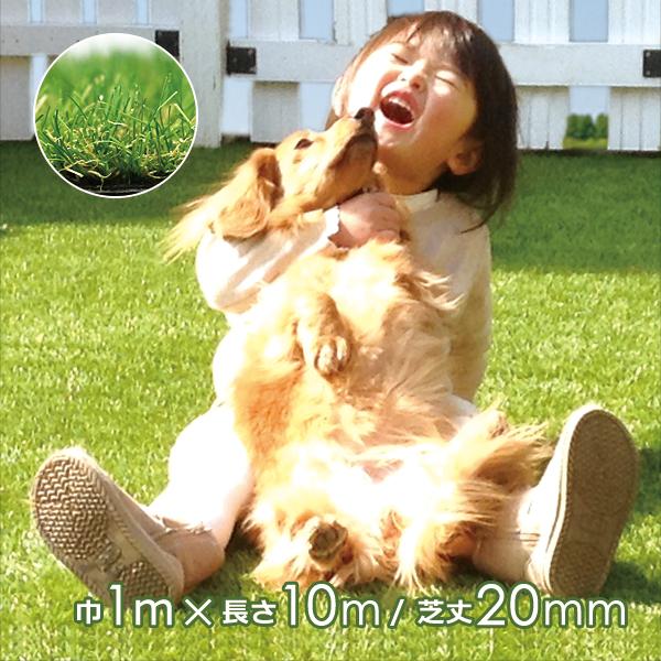 人工芝 ロール diy マット 人工芝生 庭 幅1m 長さ10m ドッグラン ゴルフ サッカー 野球 フットサル ガーデニング リアル 天然風 屋外 防炎