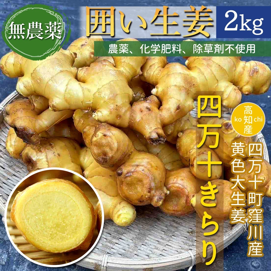 窪川産直 生姜 自然農法 2kg 囲生姜 黄色 大生姜 四万十きらり 高知産 国産 オーガニック しょうが ショウガ 2キロ 高知県産 囲い生姜 ヤマト発送