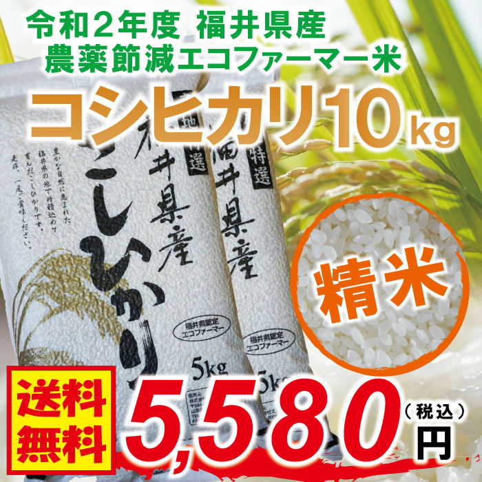 [Qoo10] 福井県産 精米令和2年度 コシヒカリ：1 : 米・雑穀