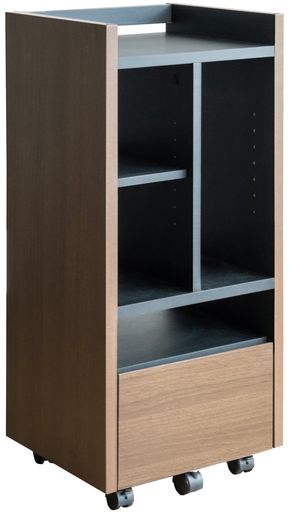 宮武製作所 ゲームラック REGABO(レガボ) PS5対応 幅38.5×奥35×高さ90cm ゲーム機やソフトをまとめて収納できる GRK-001 (ブラウン)