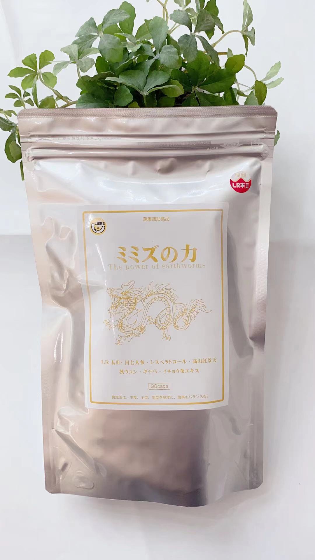 Birindo ミミズのカ 12,474円