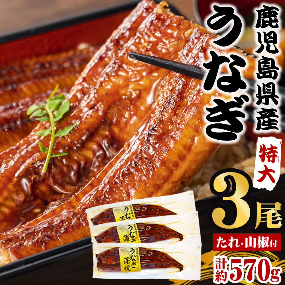 鹿児島県産 うなぎ蒲焼き 約190g　3尾 うなぎ 蒲焼き うなぎ 蒲焼き 190g 3尾 薩摩川内うなぎ 蒲焼 うなぎ蒲焼 冷凍 鹿児島 国産 九州産 鰻 ウナギ ギフト プレゼント 御歳