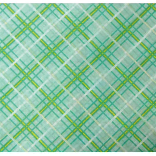 （まとめ）萬楽 食事用エプロン エコノミー食事用エプロン グリーン MR-3002[x5セット]