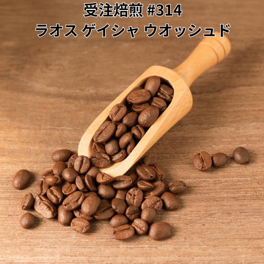 受注焙煎 2kg コーヒー豆 ラオス ゲイシャ100% ウオッシュド スぺシャルティコーヒー 珈琲 6,469円