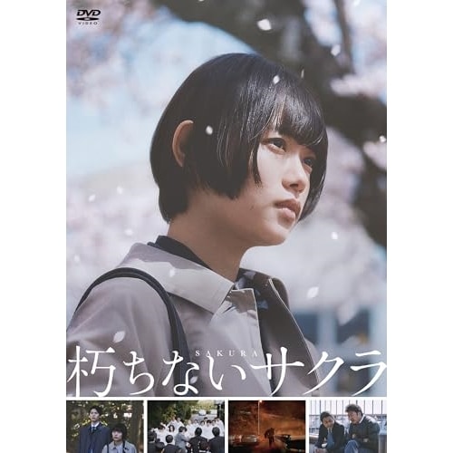 朽ちないサクラ / 杉咲花 (DVD) TCED-7663