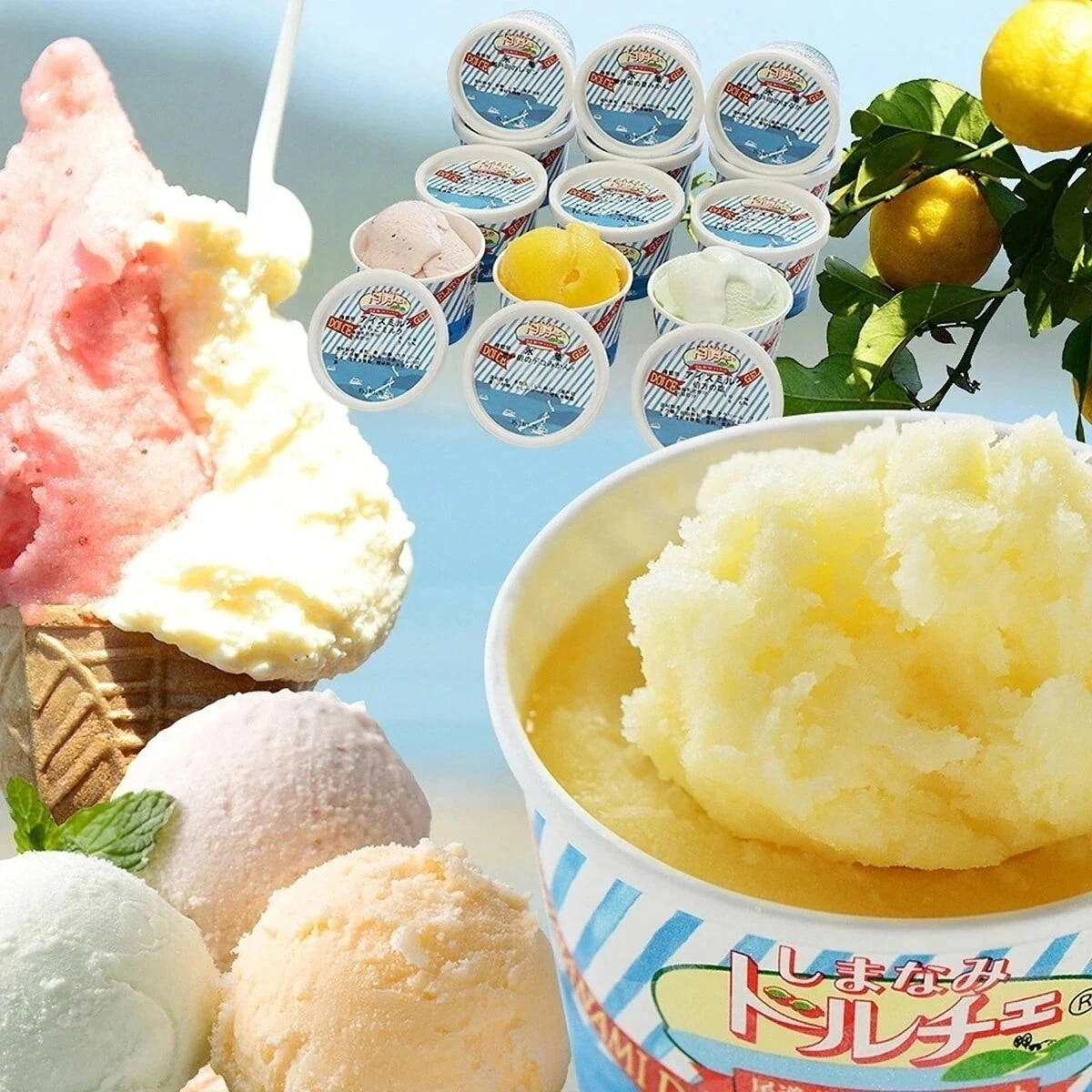 ジェラート しまなみドルチェ 12個セット 瀬戸田 尾道 冷凍便 同梱不可 指定日不可